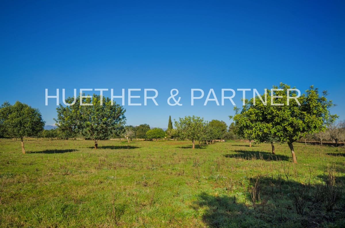 Ubebygd land til salgs i Manacor - € 500 000 (Ref: 7375075)