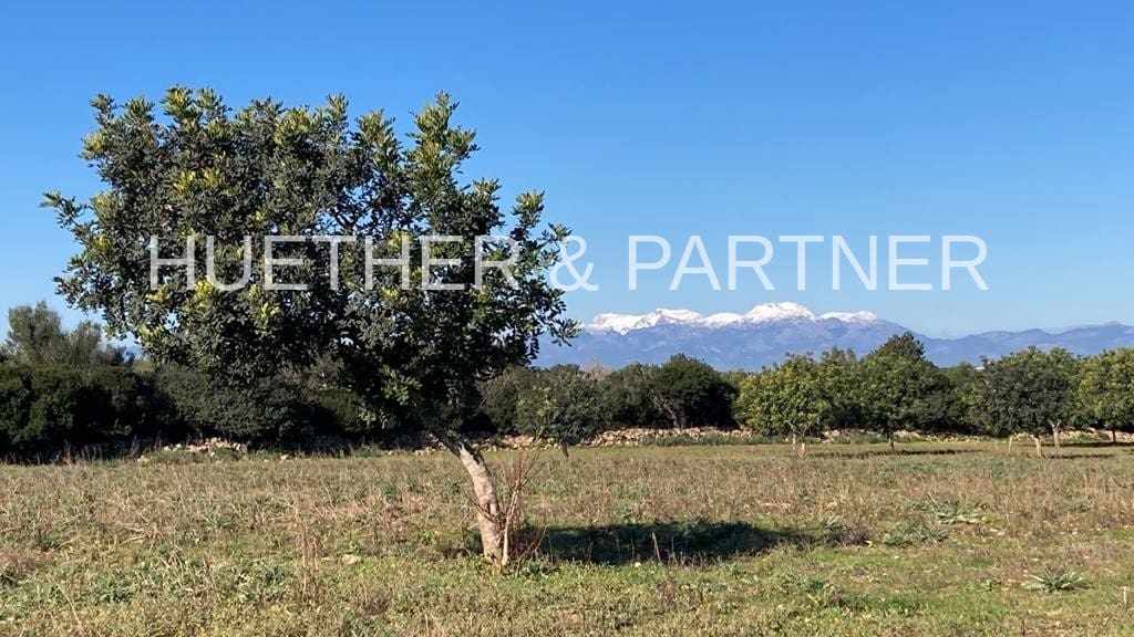 Ubebygd land til salgs i Manacor - € 500 000 (Ref: 7375075)