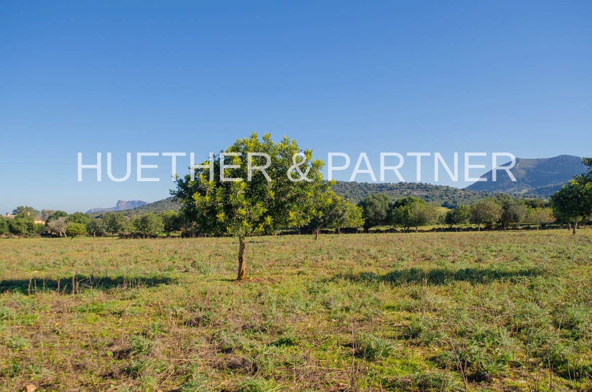 Ubebygd land til salgs i Manacor - € 500 000 (Ref: 7375075)