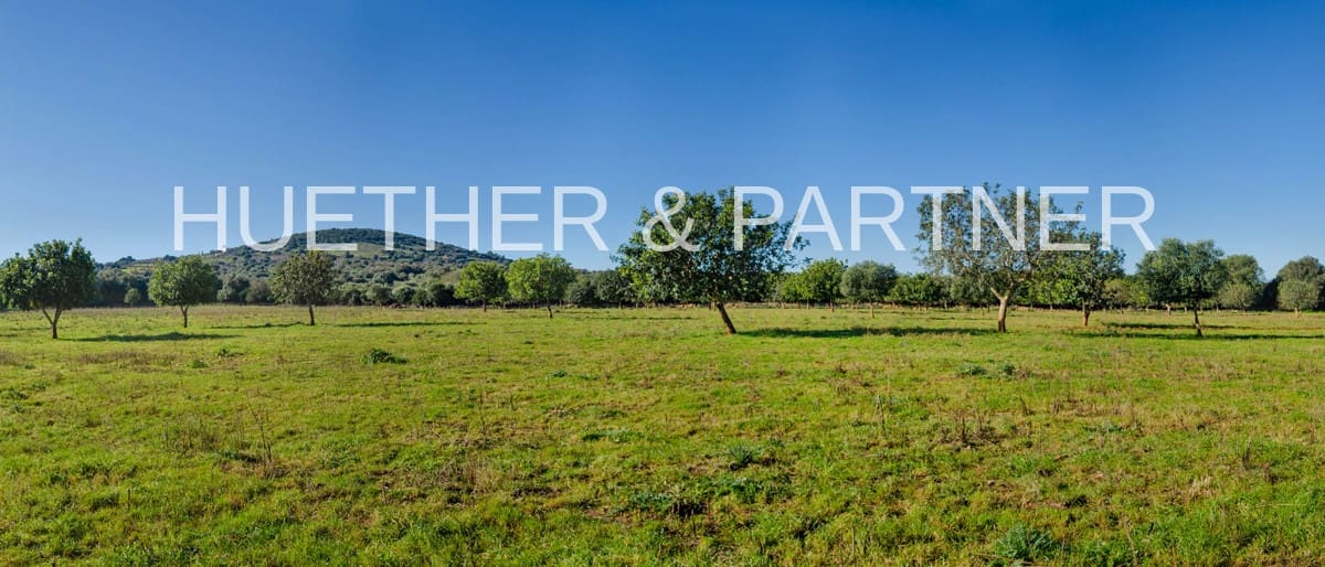 Ubebygd land til salgs i Manacor - € 500 000 (Ref: 7375075)