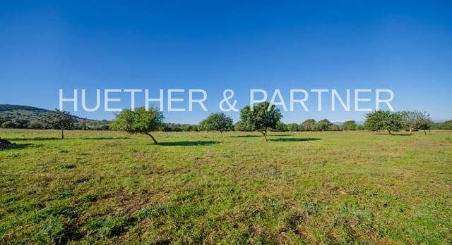 Ubebygd land til salgs i Manacor - € 500 000 (Ref: 7375075)