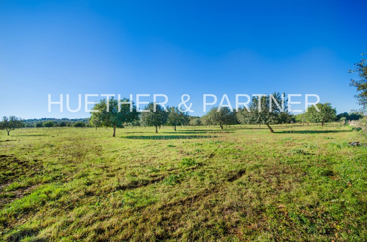 Ubebygd land til salgs i Manacor - € 500 000 (Ref: 7375075)