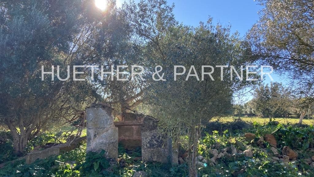 Ubebygd land til salgs i Manacor - € 500 000 (Ref: 7375075)