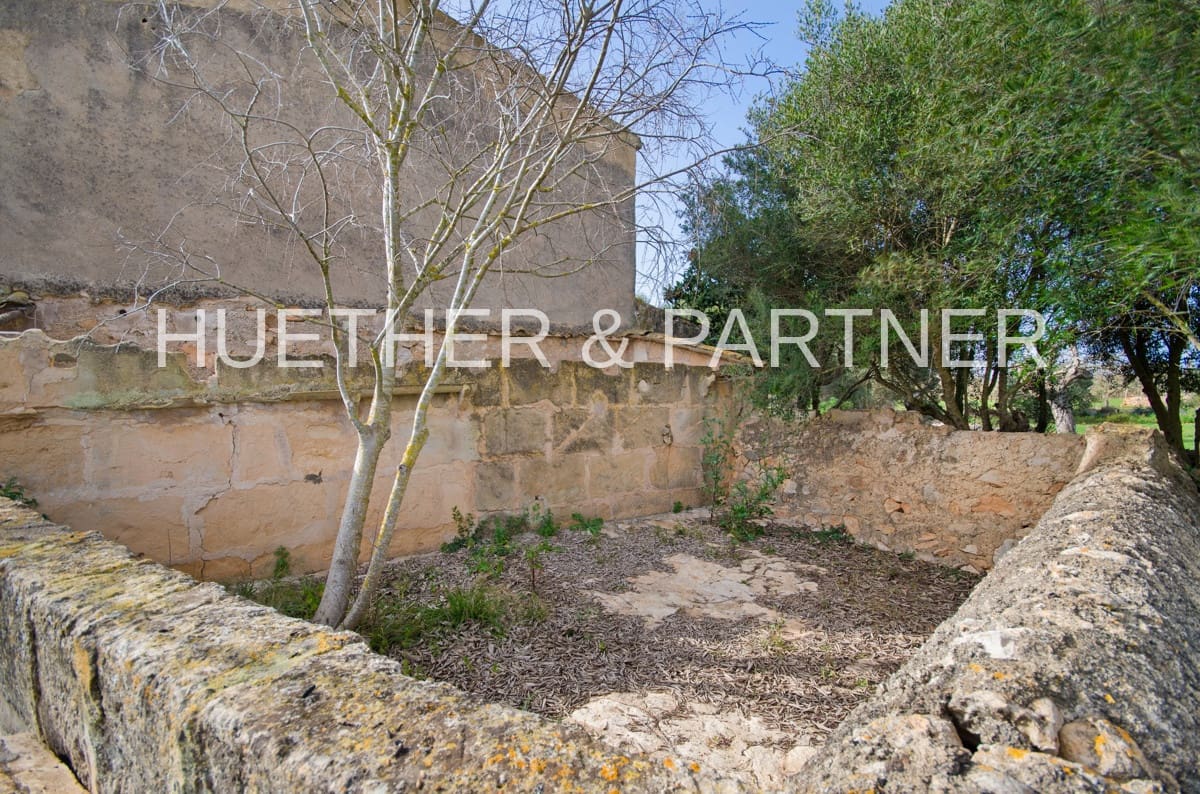 Undeveloped Land for sale in Son Negre - € 770,000 (Ref: 7416818)