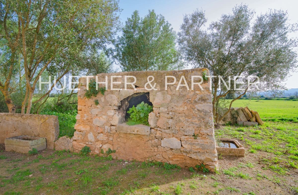 Undeveloped Land for sale in Son Negre - € 770,000 (Ref: 7416818)