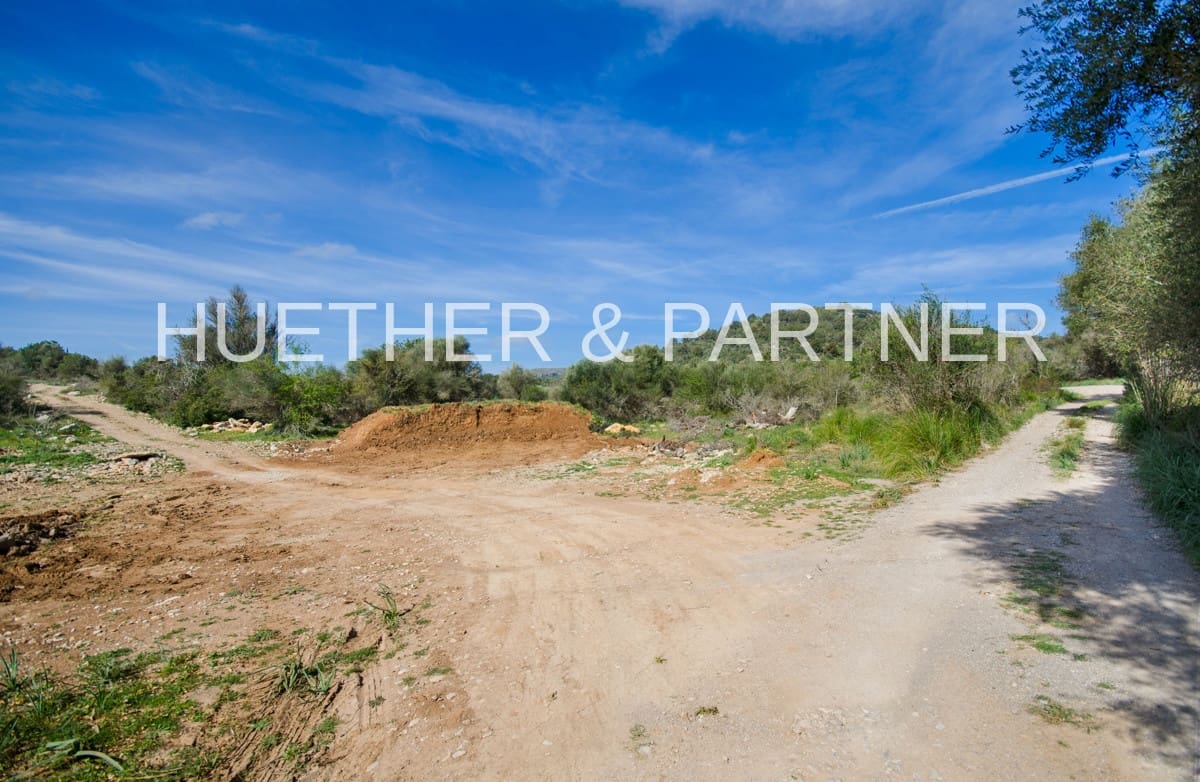 Ubebygd land til salgs i Arta - € 1 990 000 (Ref: 7469112)