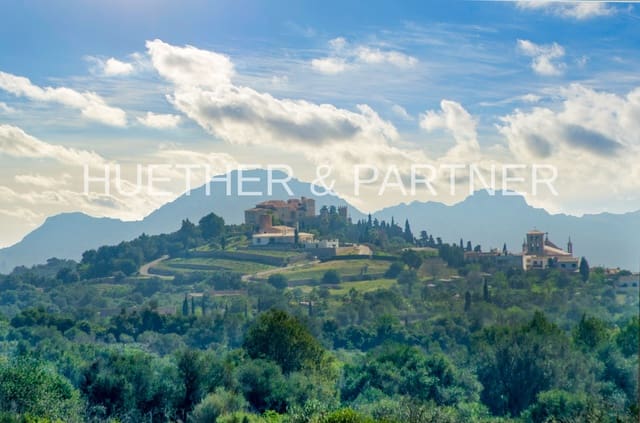 Mark till salu i Artà - 1 990 000 € (Ref: 7469112)