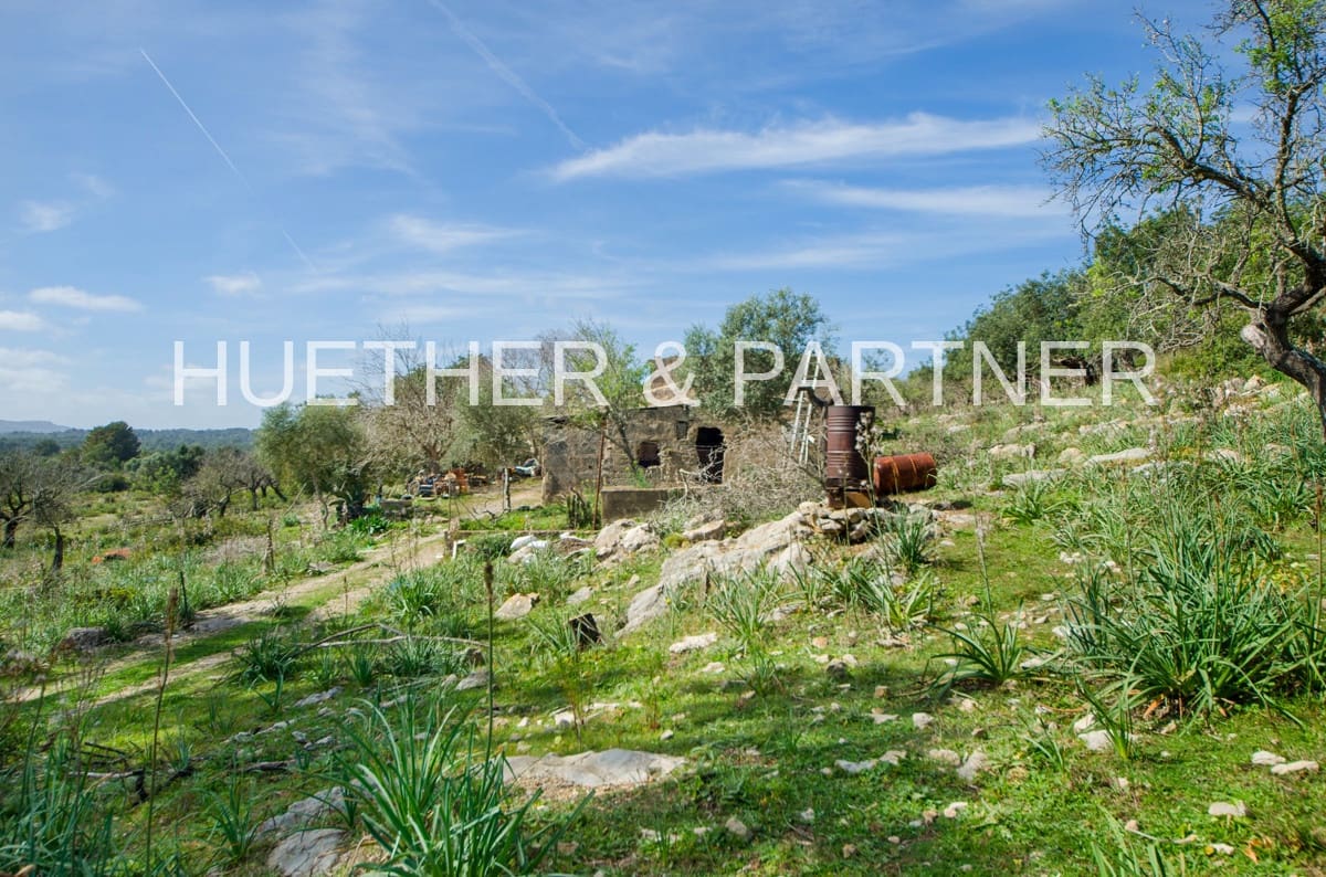 Ubebygd land til salgs i Arta - € 1 990 000 (Ref: 7469112)