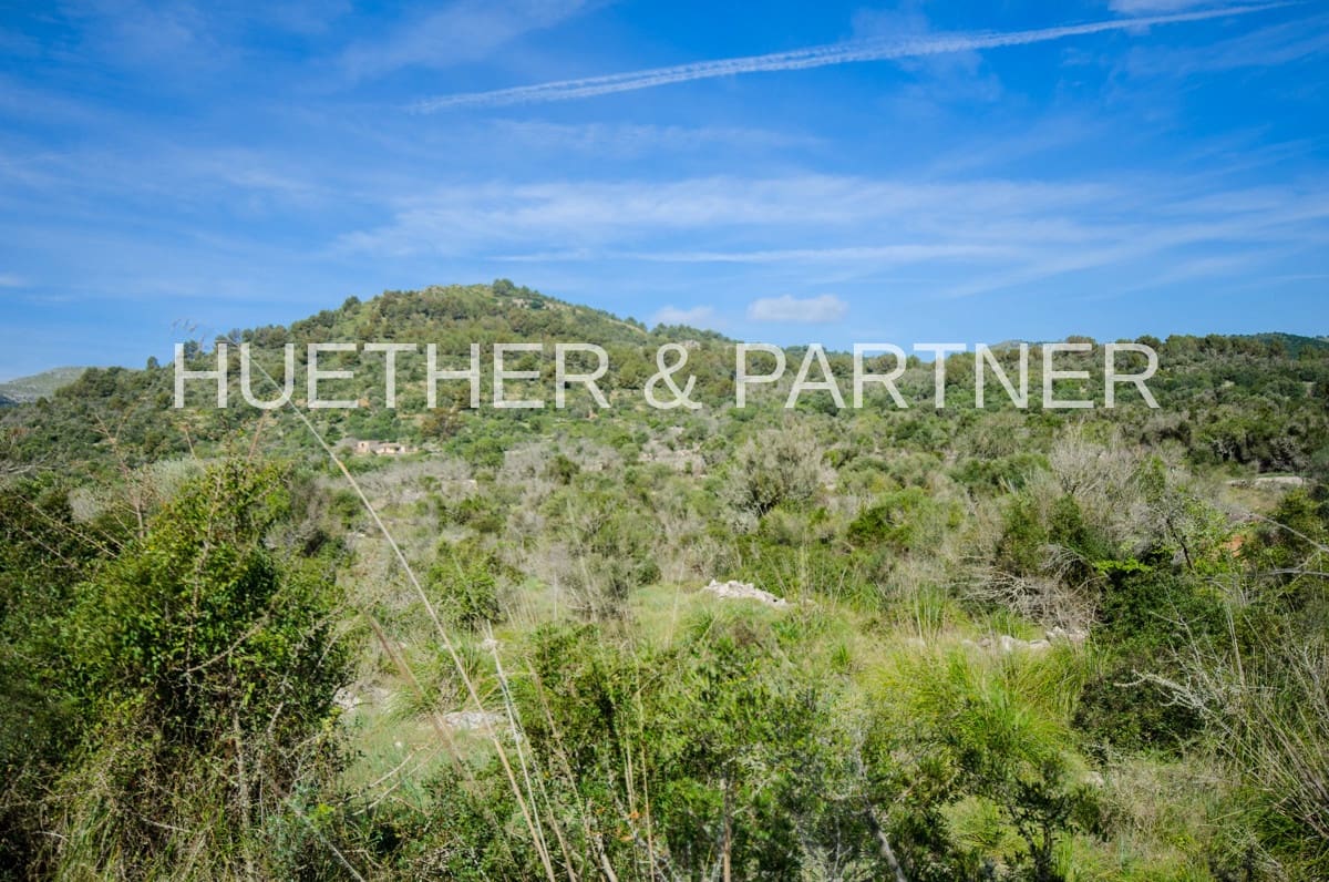 Ubebygd land til salgs i Arta - € 1 990 000 (Ref: 7469112)