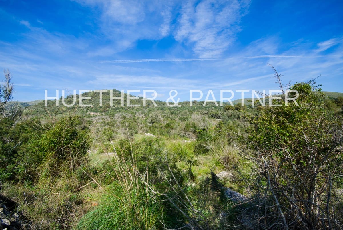 Ubebygd land til salgs i Arta - € 1 990 000 (Ref: 7469112)