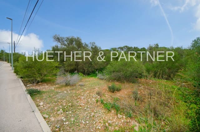 Ubebygd land til salgs i Sant Llorenç des Cardassar - € 320 000 (Ref: 8069382)