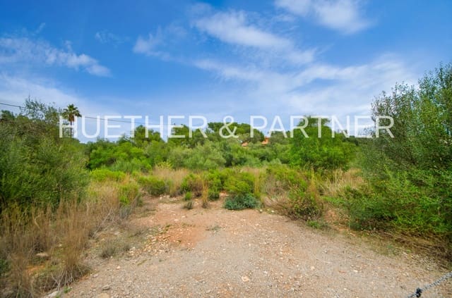 Ubebygd land til salgs i Sant Llorenç des Cardassar - € 320 000 (Ref: 8069382)
