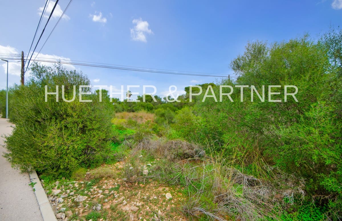 Ubebygd land til salgs i Sant Llorenc des Cardassar - € 320 000 (Ref: 8069382)