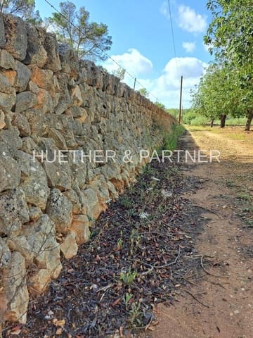 Undeveloped Land for sale in Manacor - € 220,000 (Ref: 8349143)