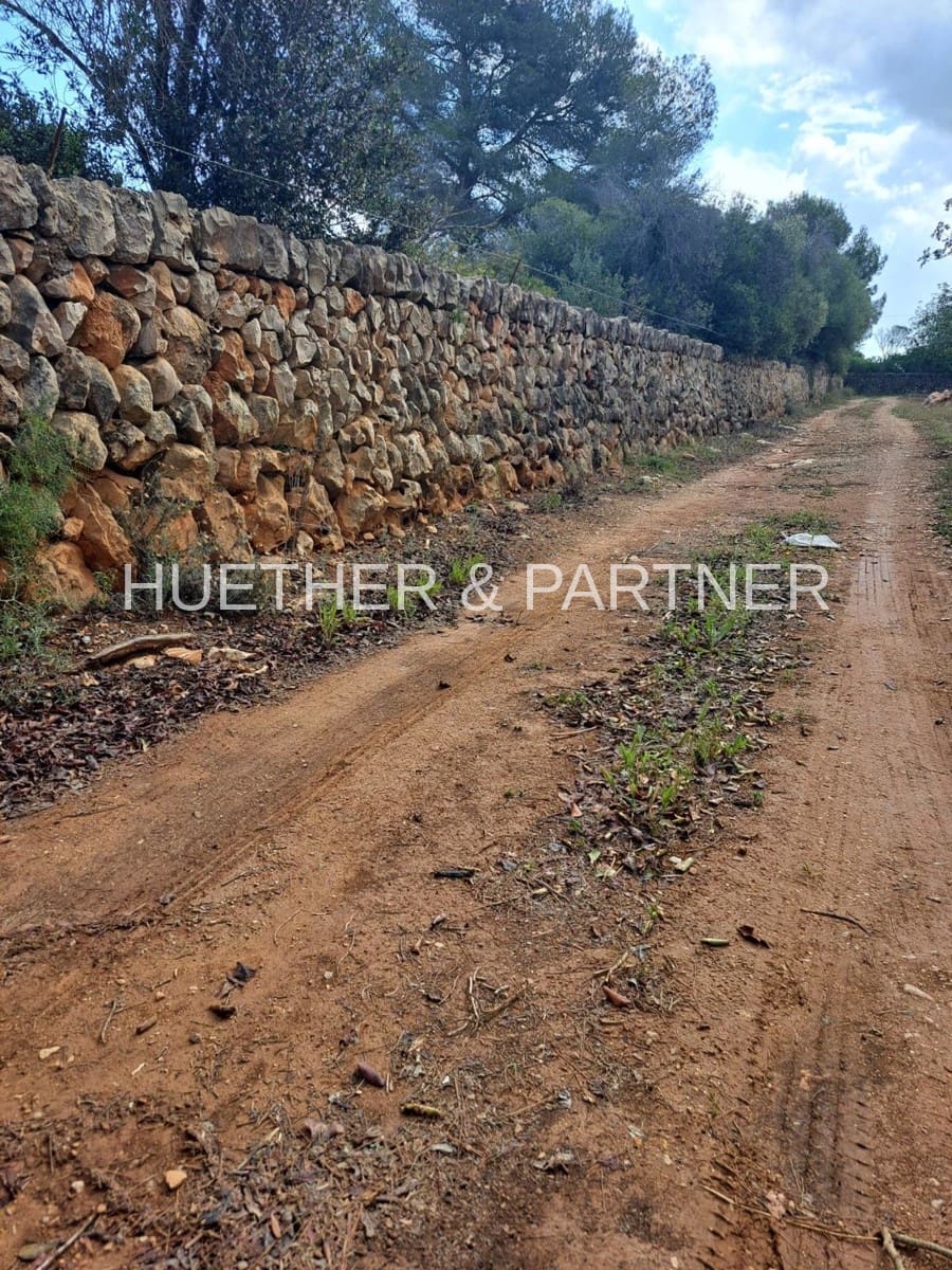 Mark till salu i Manacor - 220 000 € (Ref: 8349143)