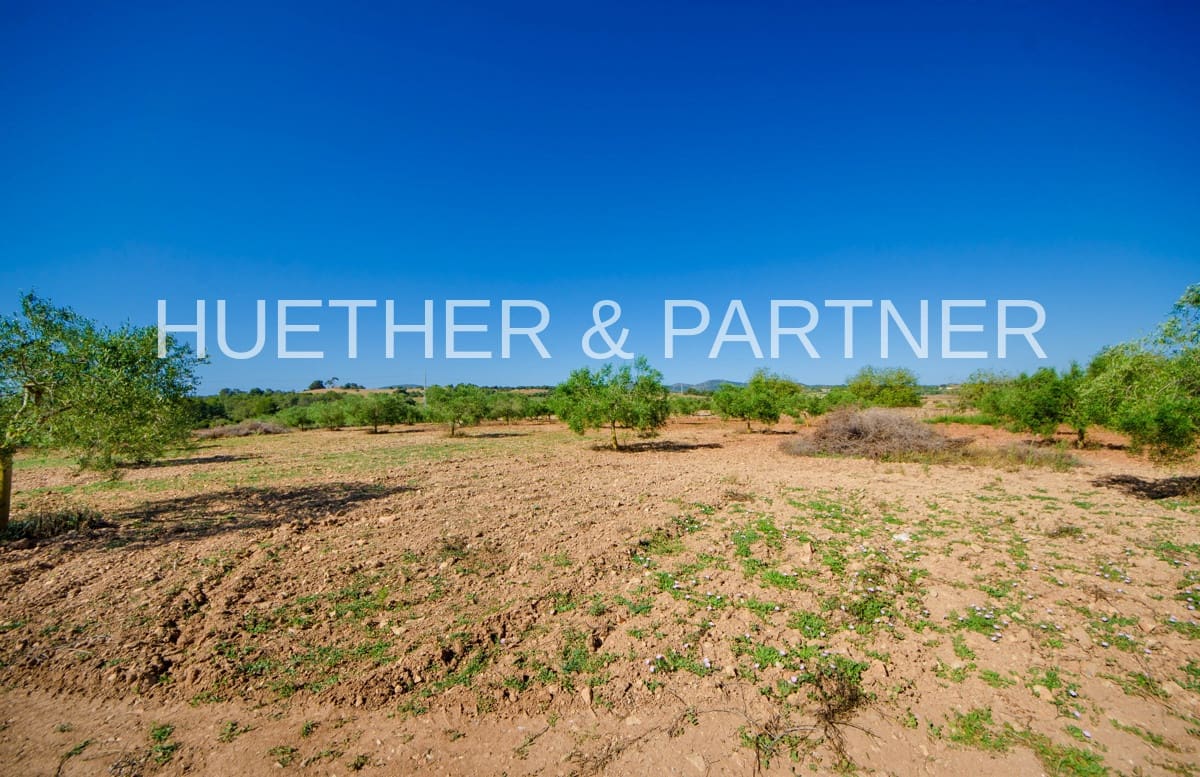 Mark till salu i Manacor - 220 000 € (Ref: 8349143)