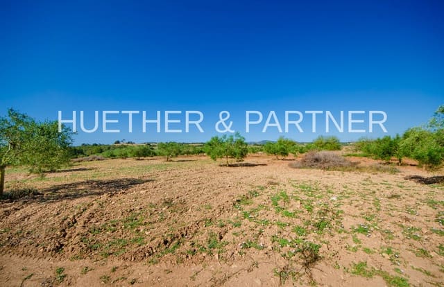 Undeveloped Land for sale in Manacor - € 220,000 (Ref: 8349143)