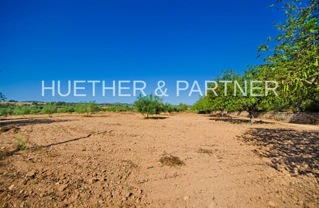 Undeveloped Land for sale in Manacor - € 220,000 (Ref: 8349143)