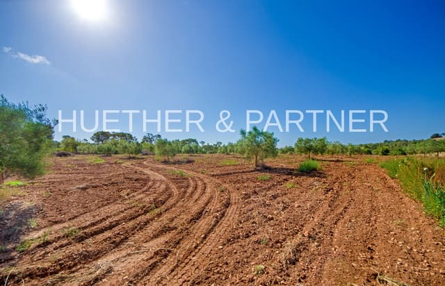 Undeveloped Land for sale in Manacor - € 220,000 (Ref: 8349143)