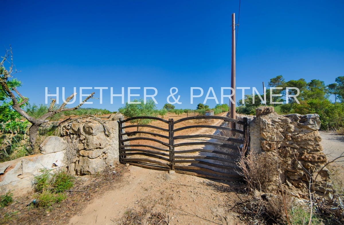 Mark till salu i Manacor - 220 000 € (Ref: 8349143)