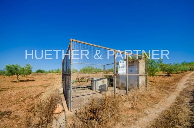 Undeveloped Land for sale in Manacor - € 220,000 (Ref: 8349143)