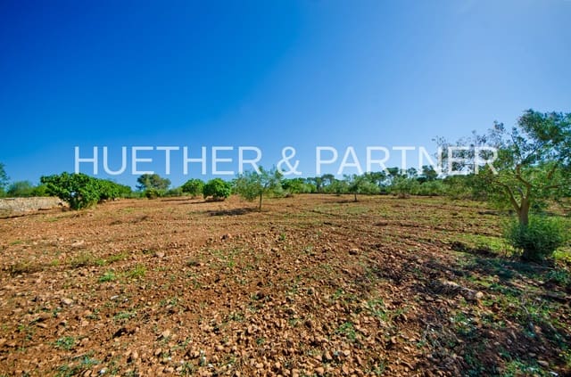 Undeveloped Land for sale in Manacor - € 220,000 (Ref: 8349143)
