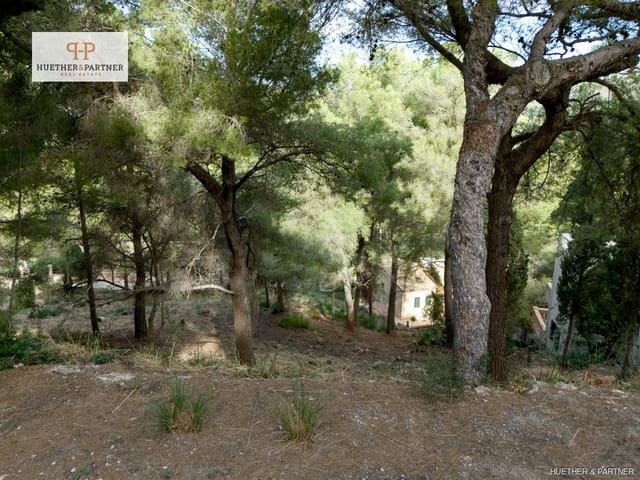 Terreno/Finca Rústica en Canyamel, Capdepera en venta - 167.500 € (Ref: 8591876)