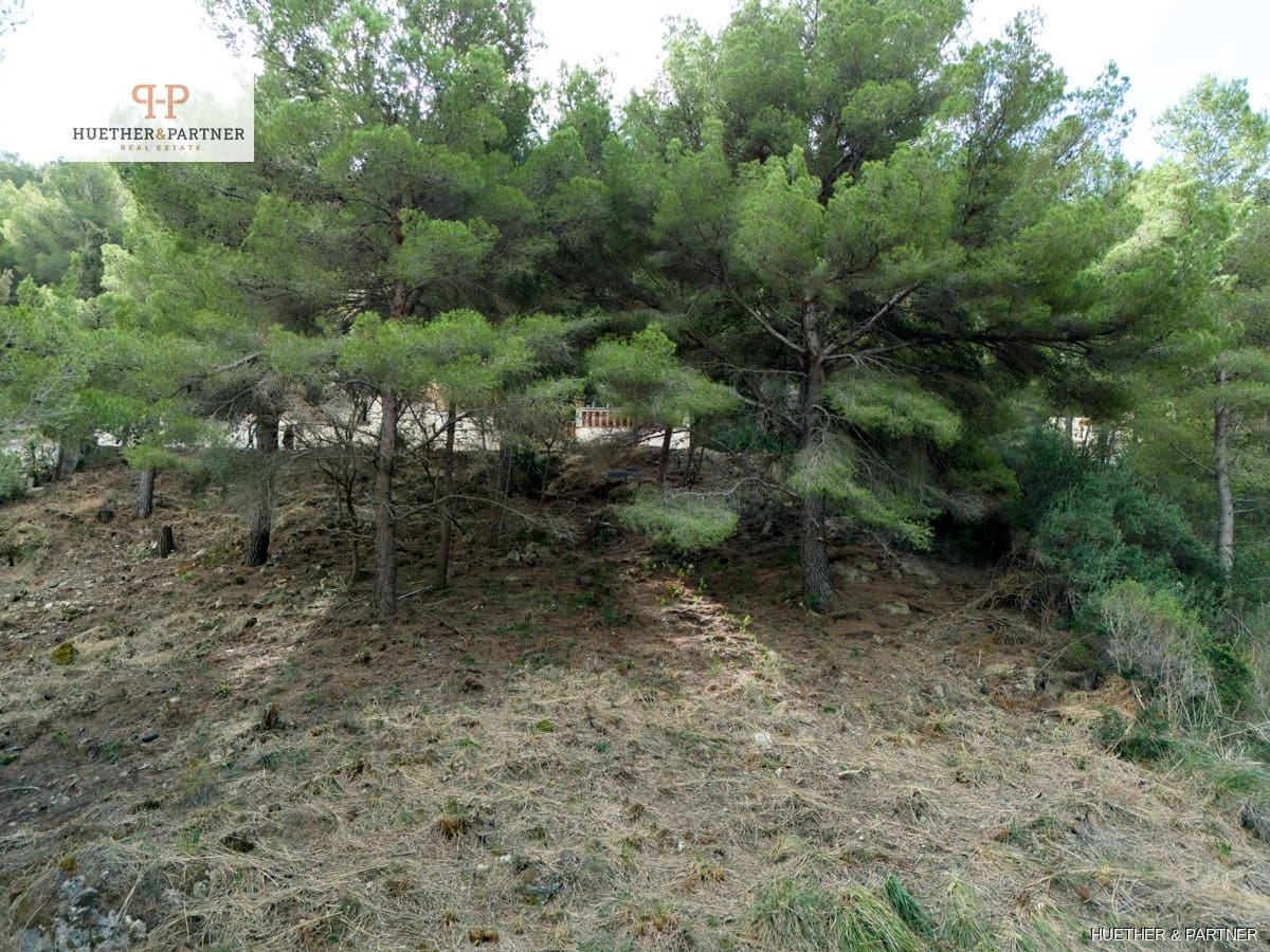 Terreno/Finca Rústica en Canyamel en venta - 193.500 € (Ref: 8591877)