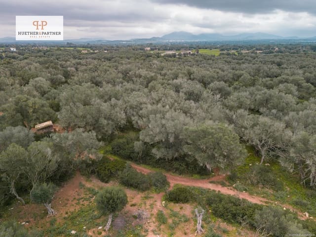 Terre non Aménagée à vendre à Felanitx - 675 000 € (Ref: 8844884)