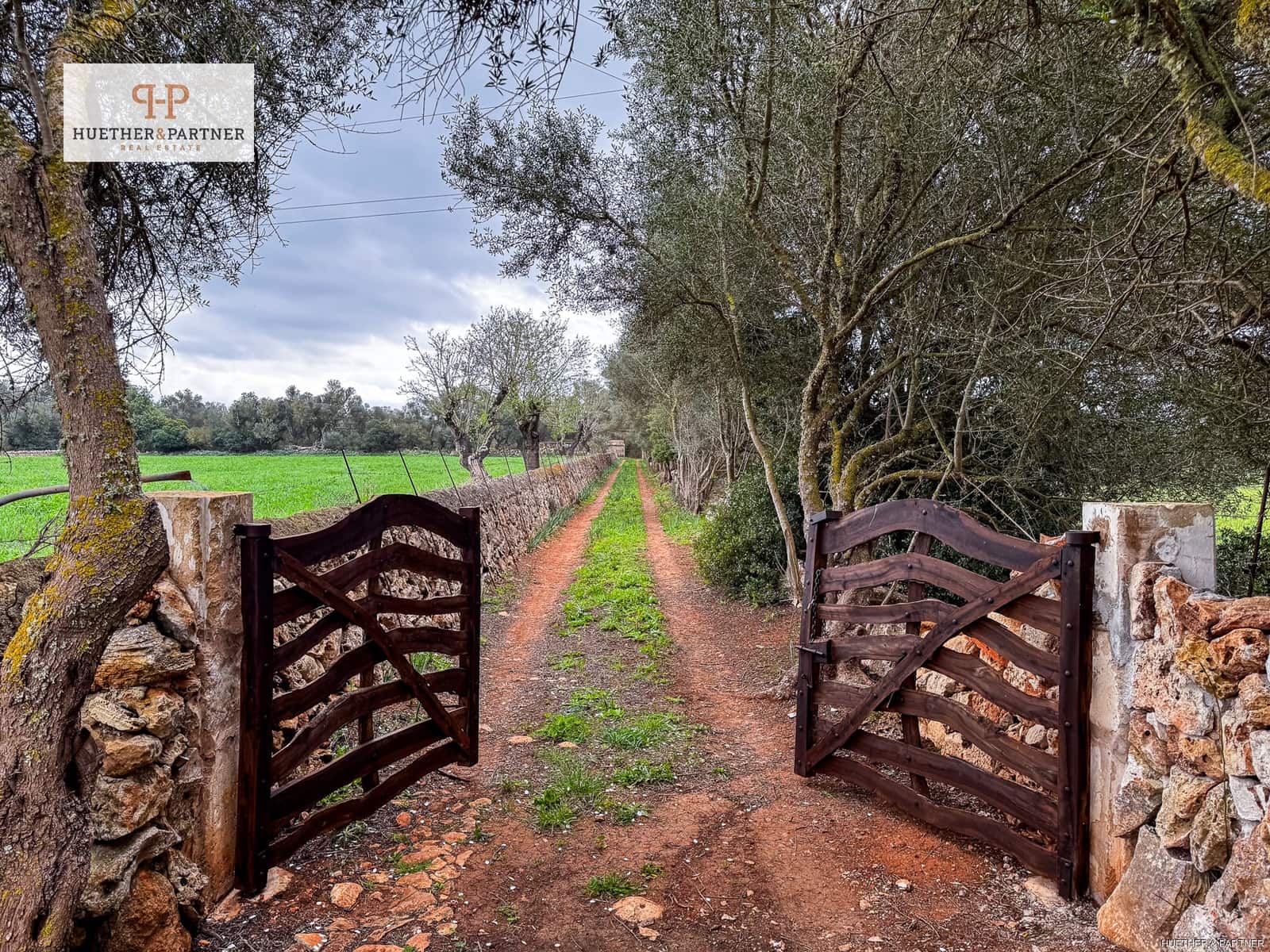 Terre non Aménagée à vendre à Felanitx - 675 000 € (Ref: 8844884)