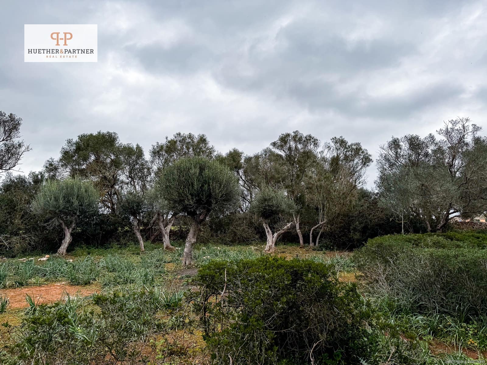 Terre non Aménagée à vendre à Felanitx - 675 000 € (Ref: 8844884)