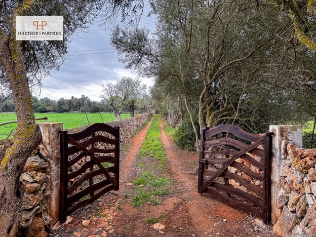 Terre non Aménagée à vendre à Felanitx - 675 000 € (Ref: 8844884)