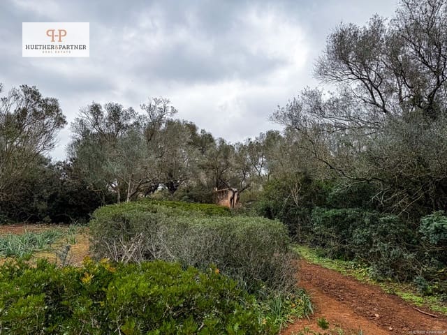 Terre non Aménagée à vendre à Felanitx - 675 000 € (Ref: 8844884)