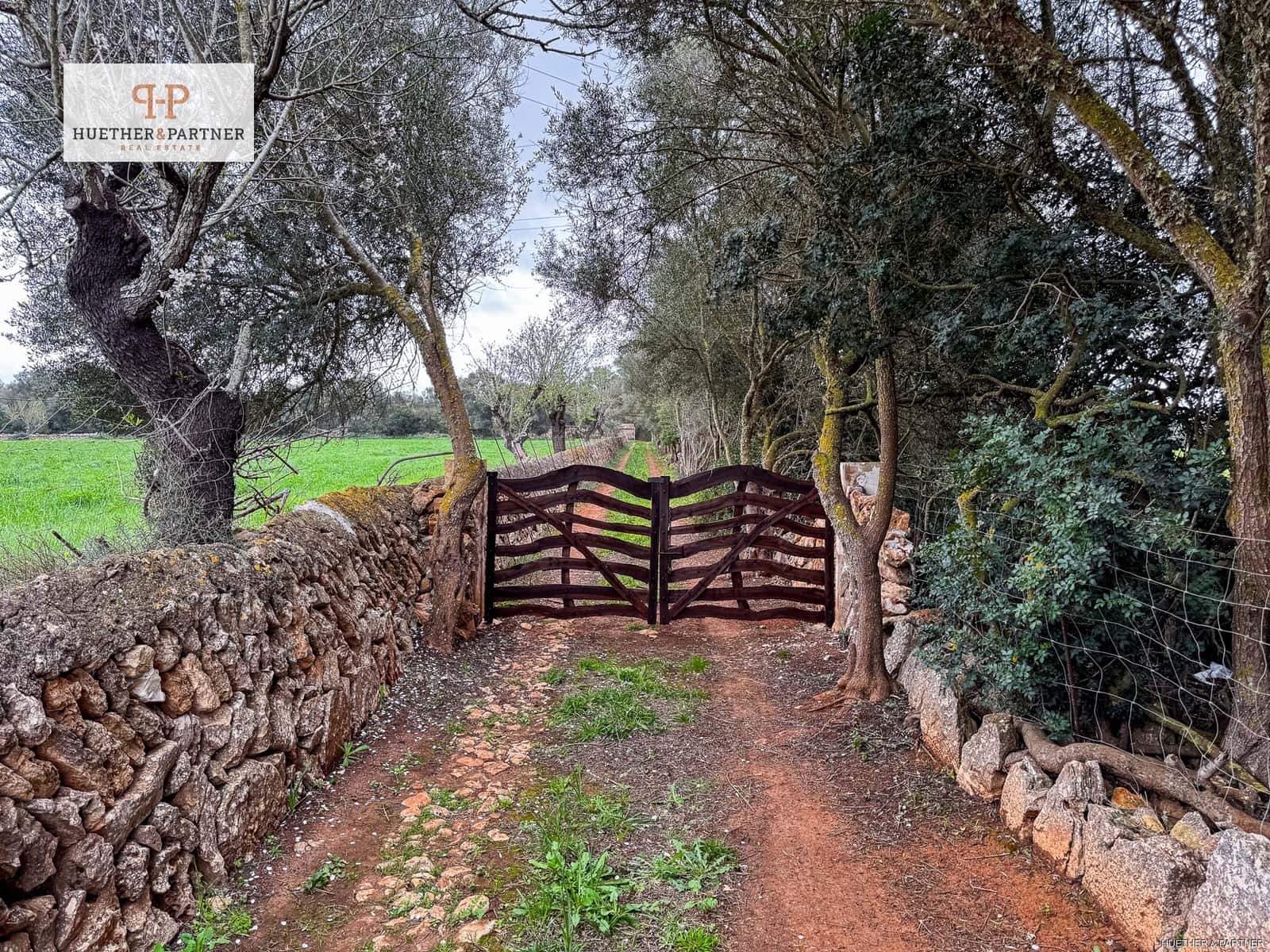 Terre non Aménagée à vendre à Felanitx - 675 000 € (Ref: 8844884)