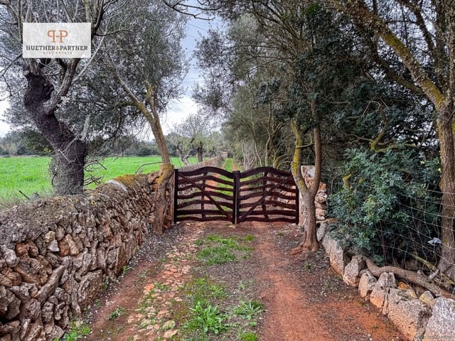 Terre non Aménagée à vendre à Felanitx - 675 000 € (Ref: 8844884)