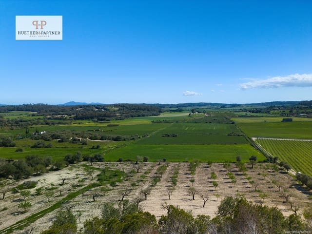 Mark till salu i Montuïri - 475 000 € (Ref: 8907024)