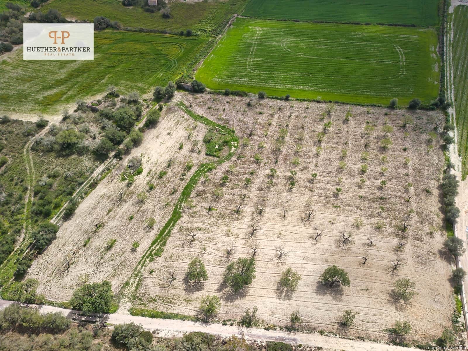 Terreno Non Edificato in vendita in Montuiri - 475.000 € (Rif: 8907024)