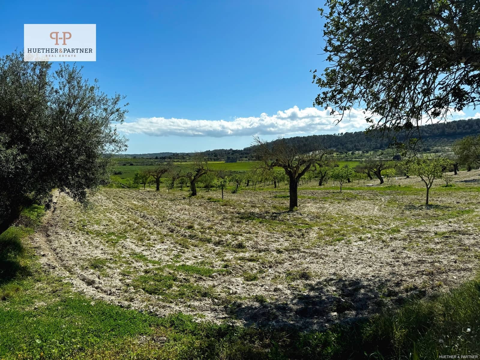 Terreno Non Edificato in vendita in Montuiri - 475.000 € (Rif: 8907024)