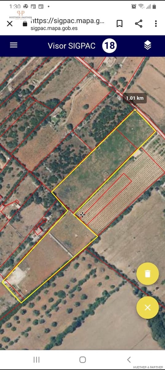 Rakentamaton maa myytävänä paikassa Santa Margalida - 295 000 € (Ref: 9004706)