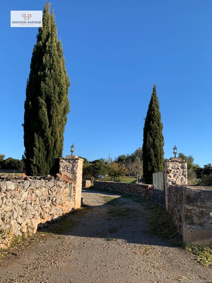 Rakentamaton maa myytävänä paikassa Santa Margalida - 295 000 € (Ref: 9004706)