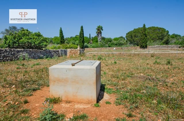 Rakentamaton maa myytävänä paikassa Santa Margalida - 295 000 € (Ref: 9004706)