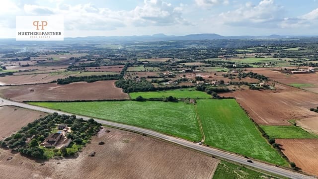 Terreno/Finca Rústica en Manacor en venta - 395.000 € (Ref: 9022330)