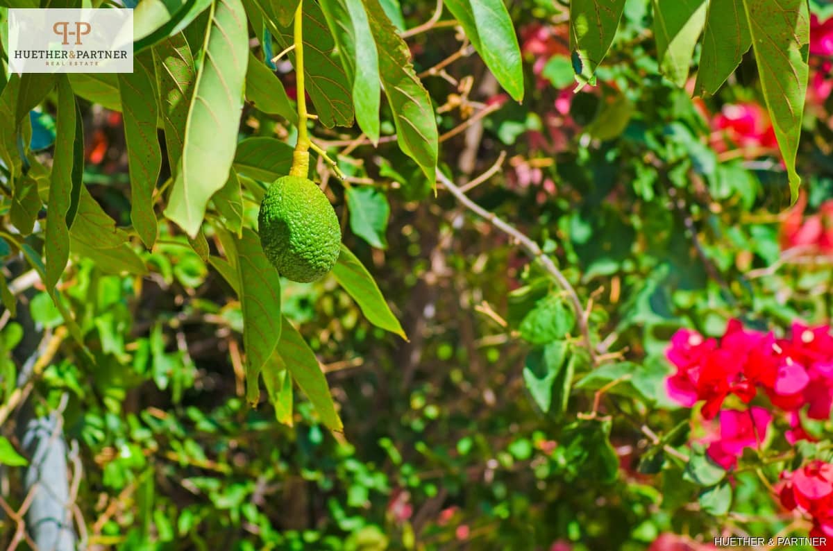 4 bedroom Finca/Country House for sale in Palma de Mallorca - € 1,995,000 (Ref: 9073850)