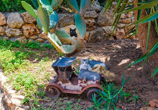 3 soveværelse Byhus til salg i Cala Romantica, Manacor - € 669.000 (Ref: 9075996)