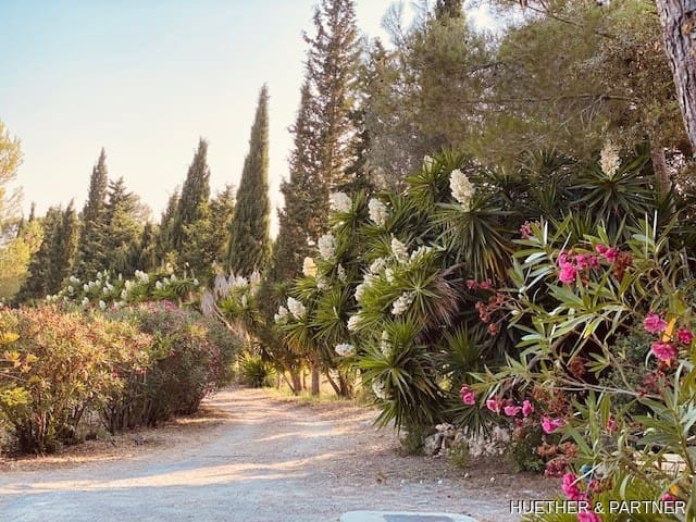 2 bedroom Finca/Country House for sale in Porreres with pool garage - € 1,300,000 (Ref: 9136273)