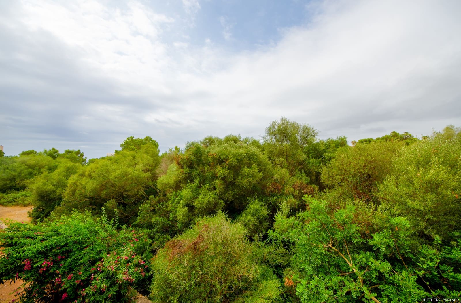 1 slaapkamer Flat te koop in Calas de Mallorca - € 155.000 (Ref: 9156253)