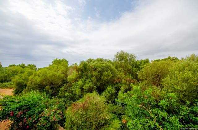 1 slaapkamer Flat te koop in Calas de Mallorca, Manacor - € 155.000 (Ref: 9156253)