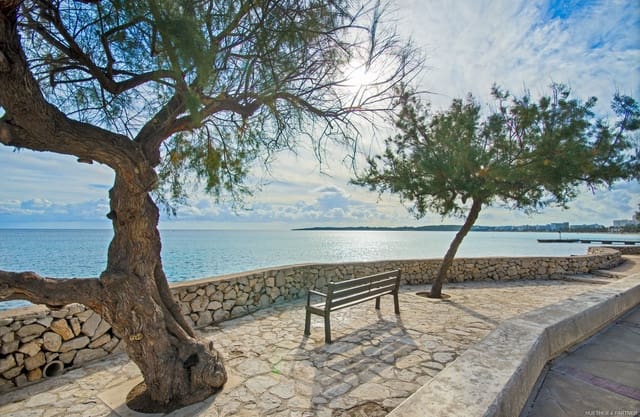 Piso de 1 habitación en Cala Bona, Son Servera en venta - 265.000 € (Ref: 9175837)