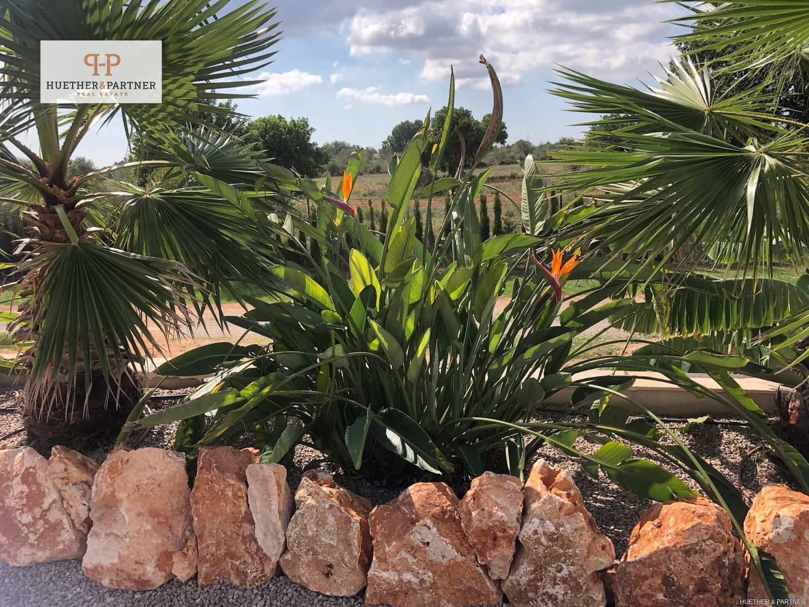 5 bedroom Finca/Country House for sale in Llucmajor - € 2,200,000 (Ref: 9180294)