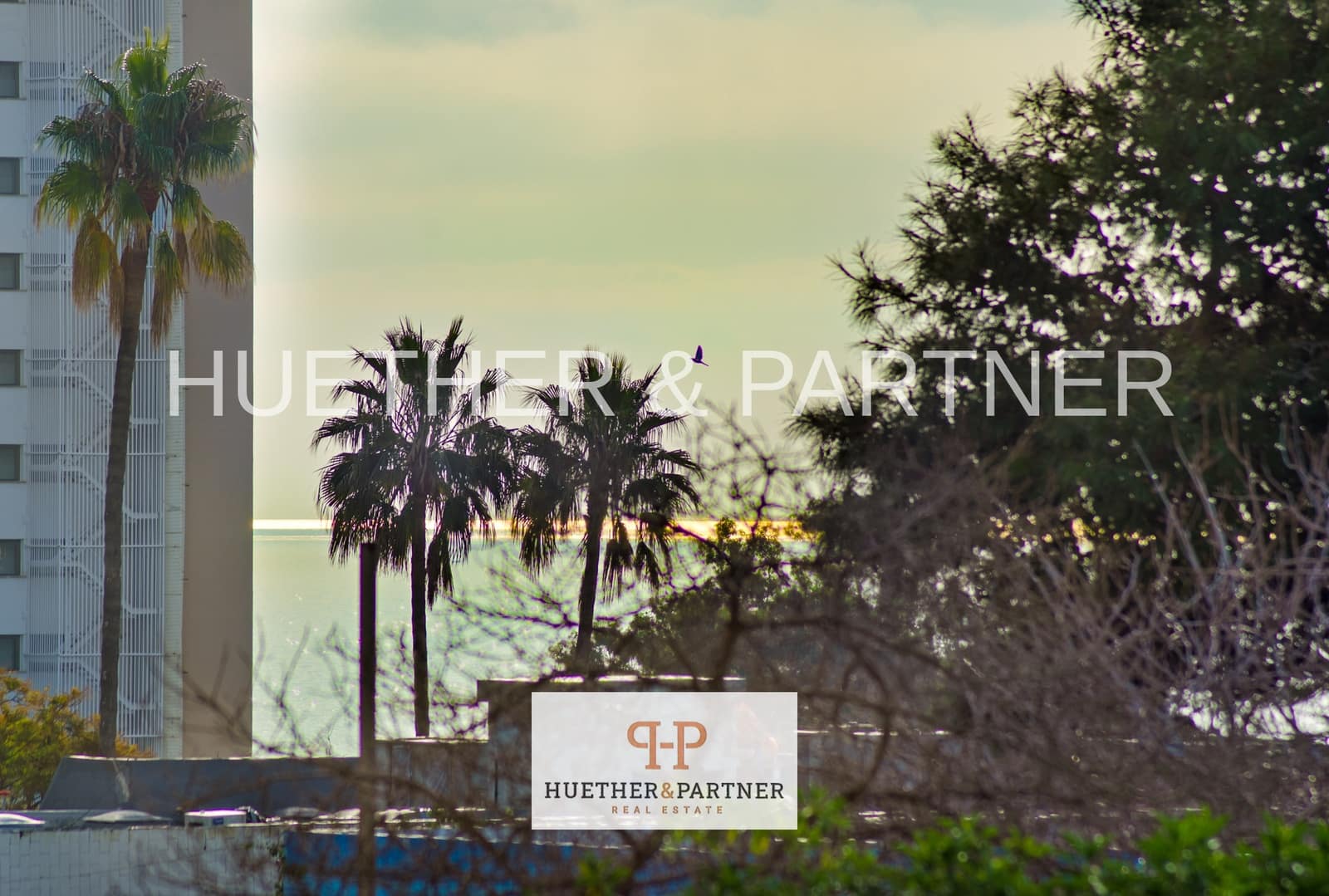 1 slaapkamer Flat te huur in Calas de Mallorca - € 1.000 (Ref: 9525910)